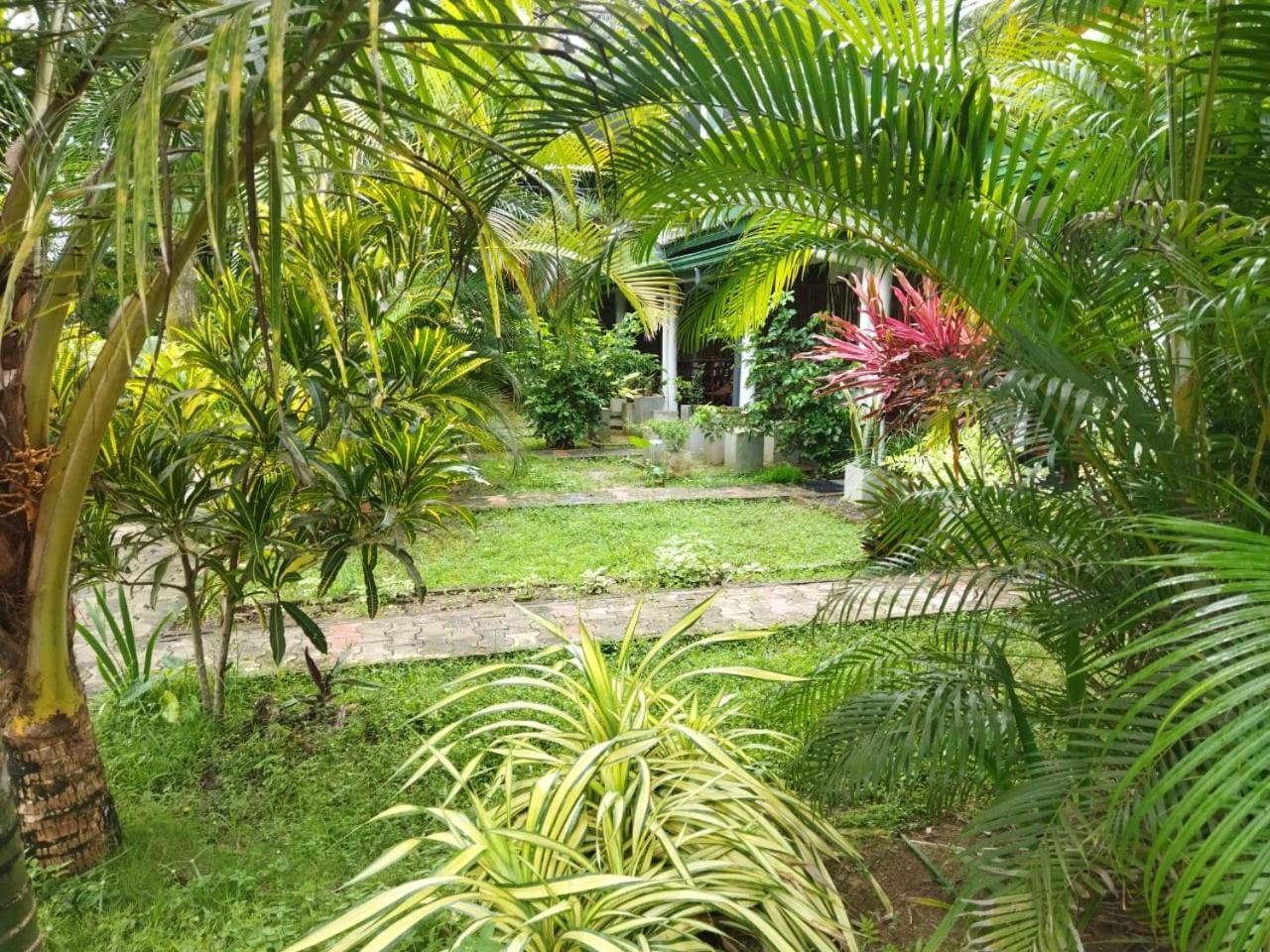 Lion Paradise Surf Beach Matara Extérieur photo