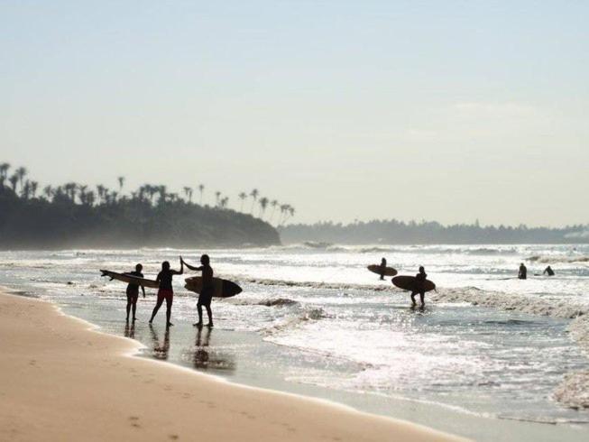 Lion Paradise Surf Beach Matara Extérieur photo